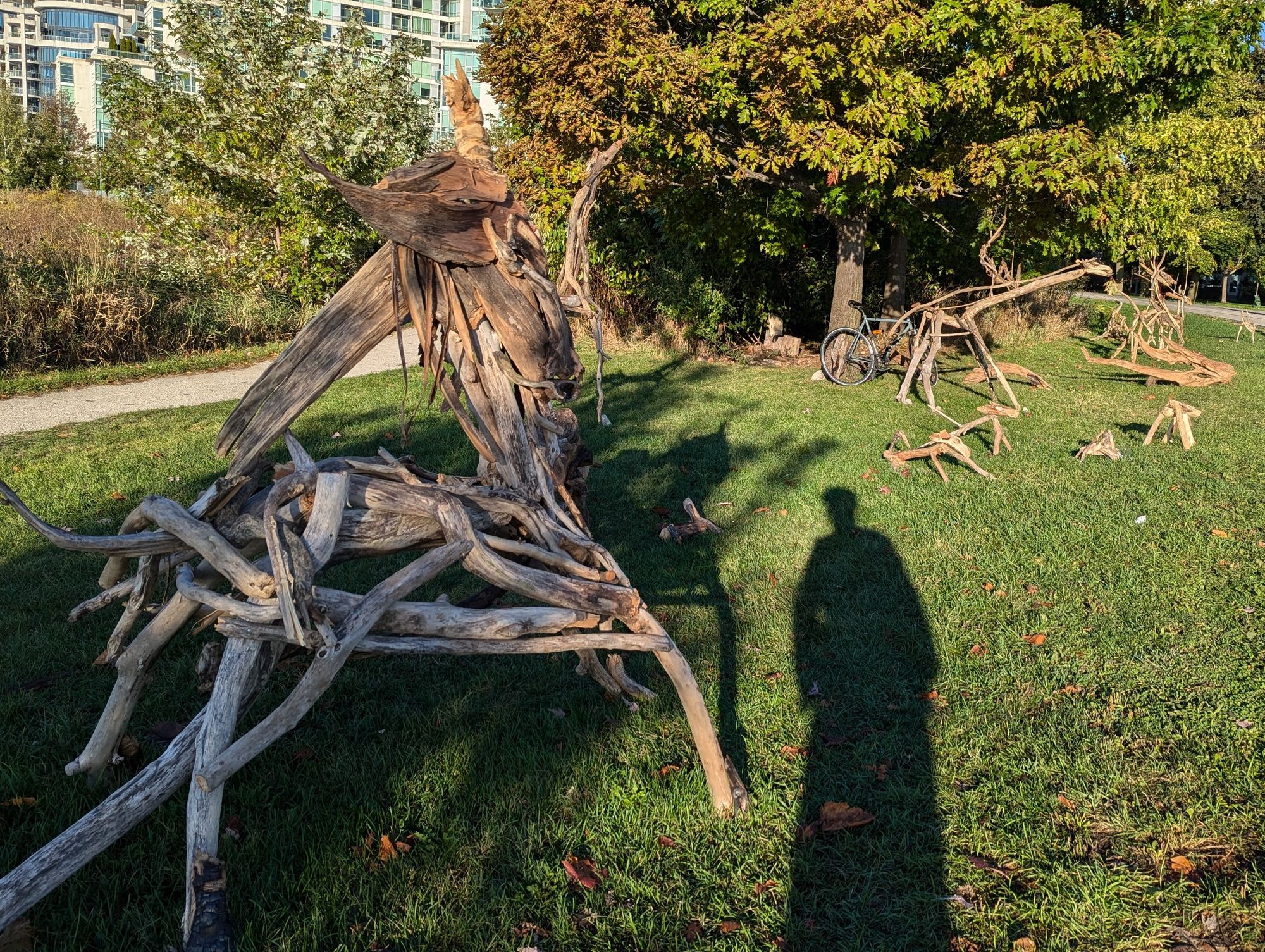 Driftwood Sculptures in Humber Bay