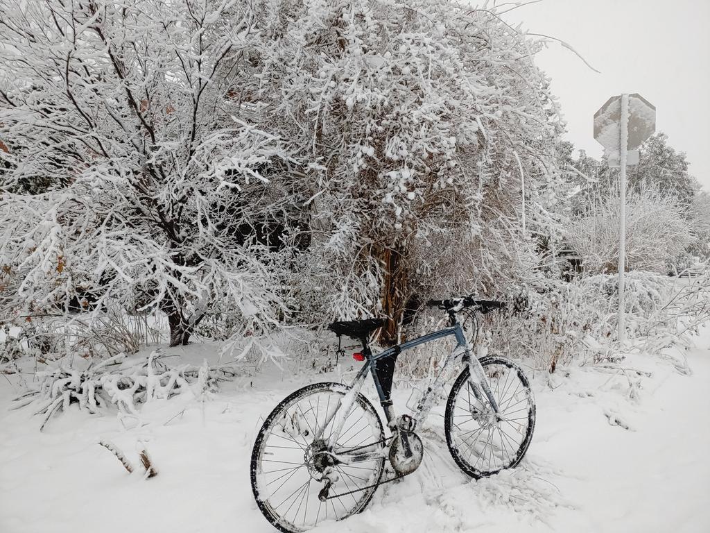 Bike Lanes